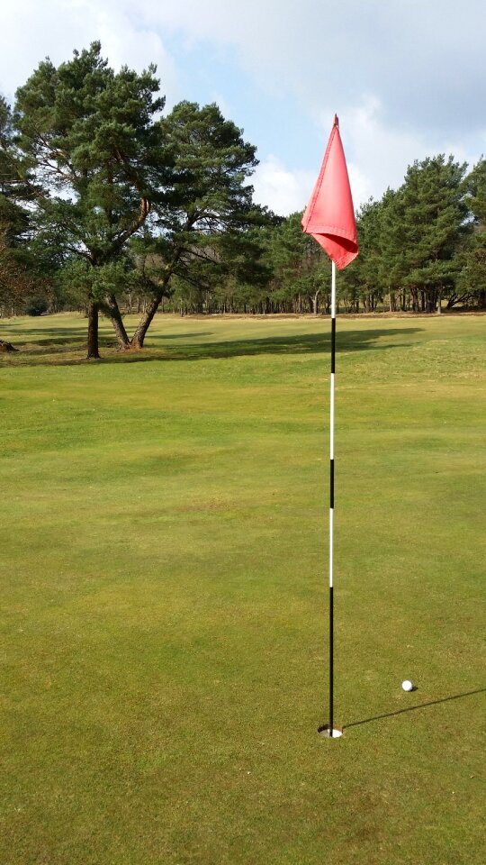 Green grass course