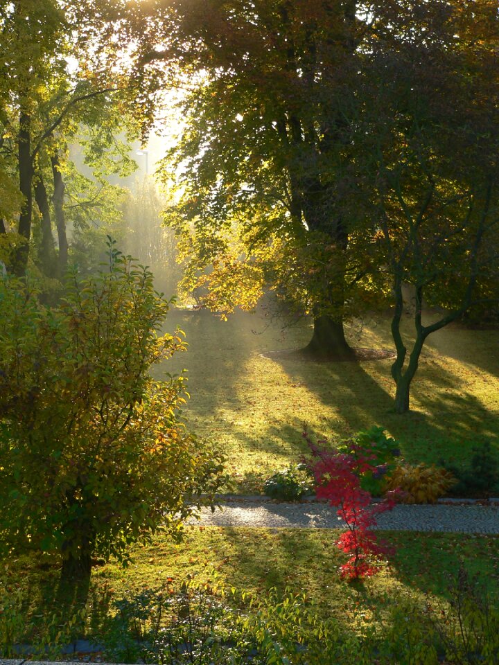 Dreamy fairytale sunbeam
