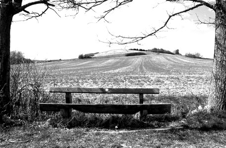 Bench nature out photo