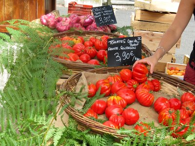 Onions vegetables food photo