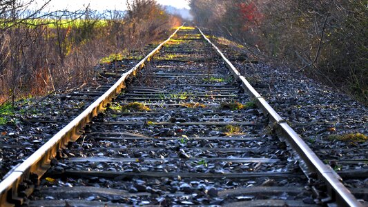 Tracks abandoned rot away alongside