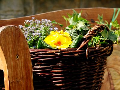 Garden deco decoration