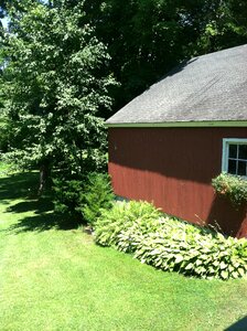 Garden green building