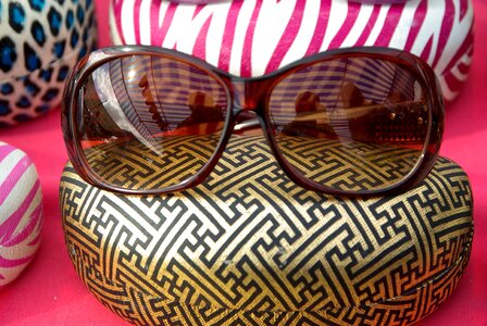 Sunglasses mode case