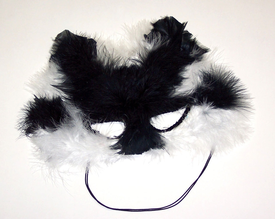Mask feather feathers