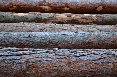 Texture luggage compartment log