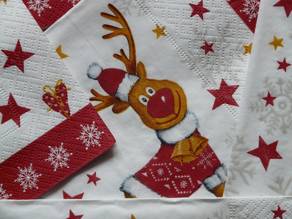 Reindeer red currant red nosed