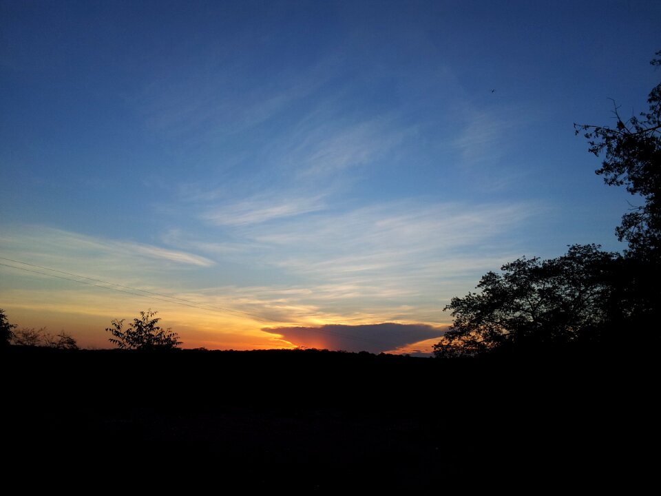 Flying sunset peace