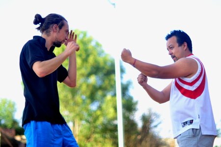 Training martial art position