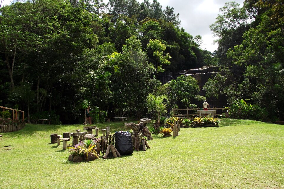 Nature landscape forest