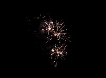 Dreams new year christmas