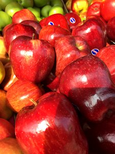 Food fruit red