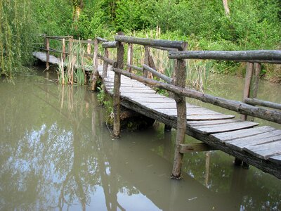 Wooden bridge landscape water
