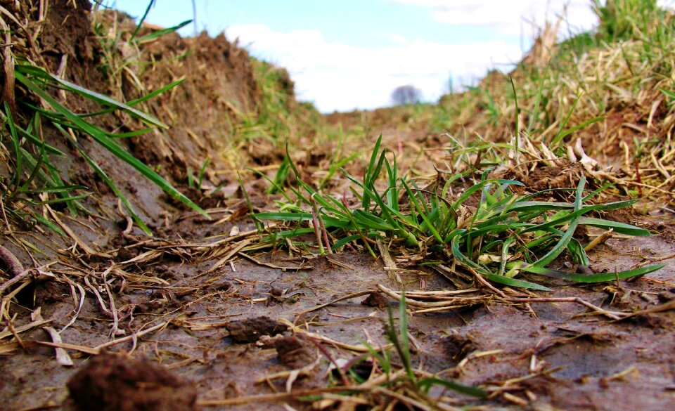Furrow close up grass