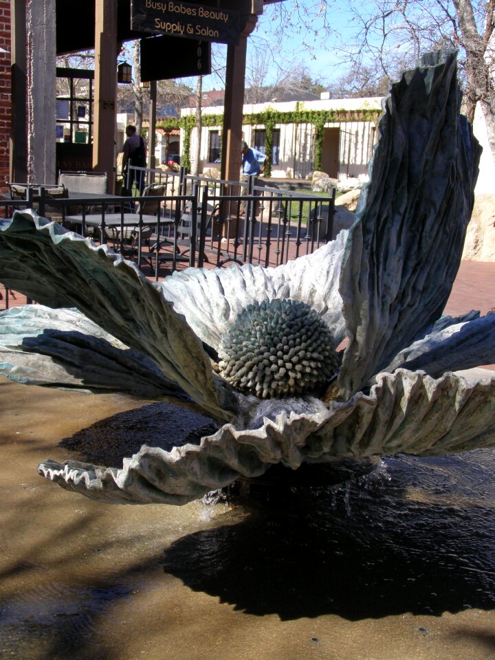 Landmark travel ojai