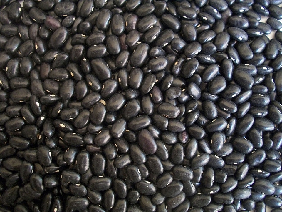 Food texture background