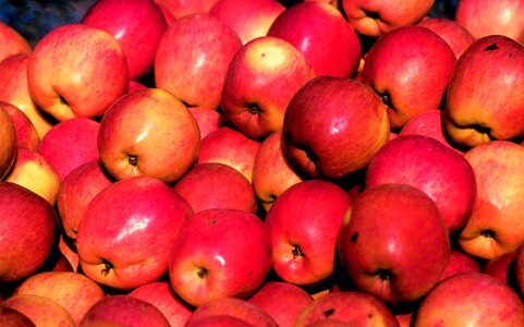 Organic juicy eating