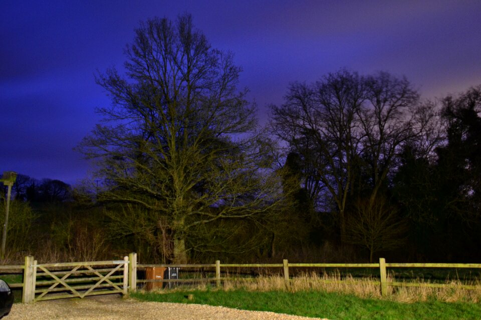 Dark nature holiday