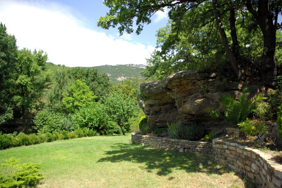 Green trees landscape