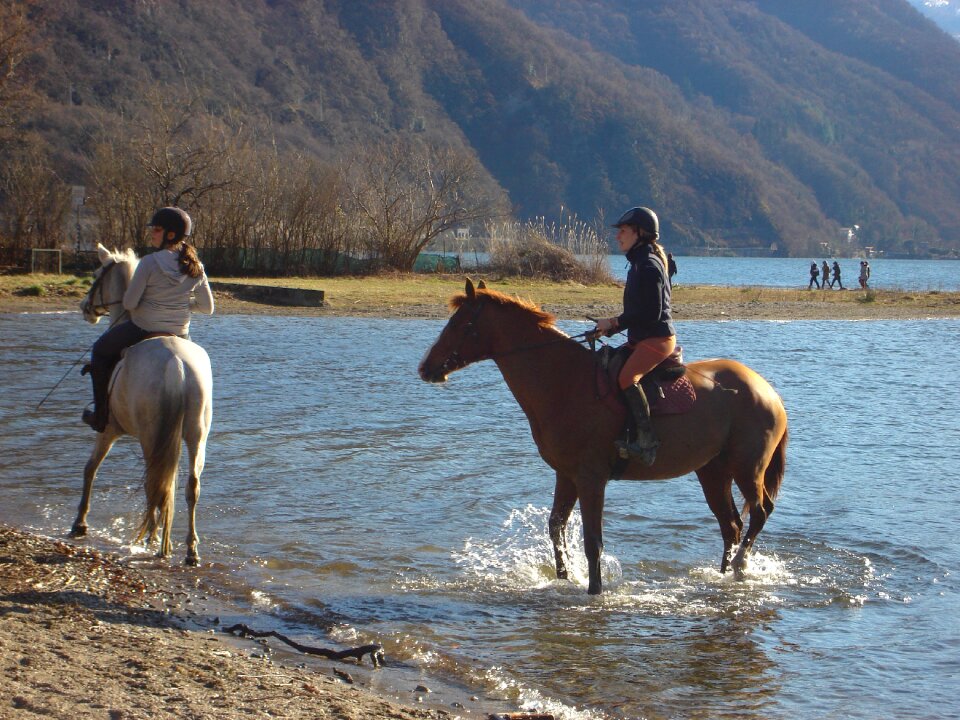 Lugano water nature