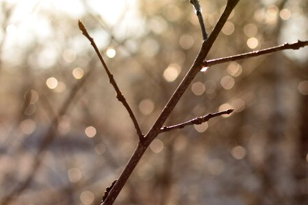 Light rays sparkle