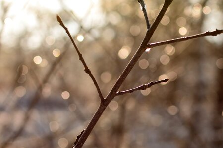 Light rays sparkle photo