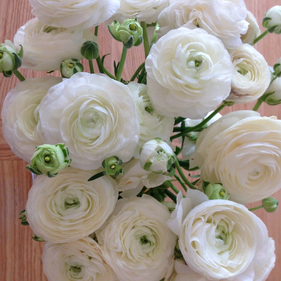Flowers white flowers bouquet