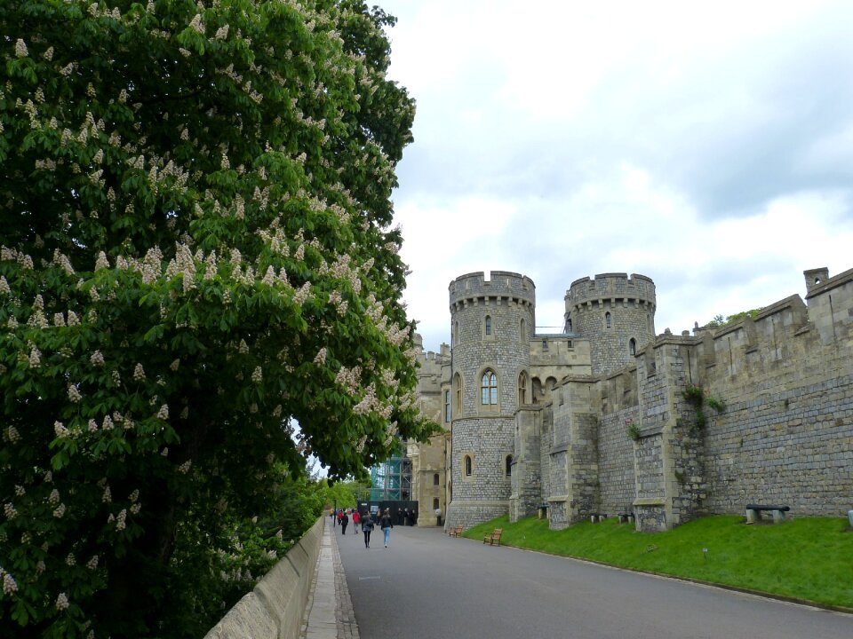 Castle windsor castle united kingdom
