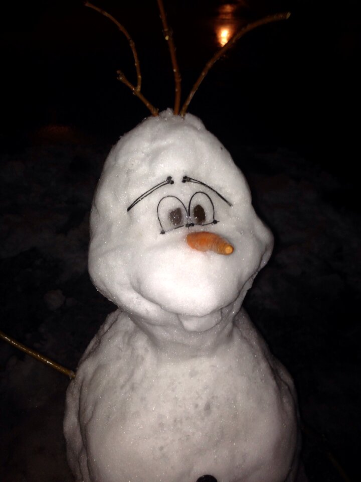 Snowman frozen