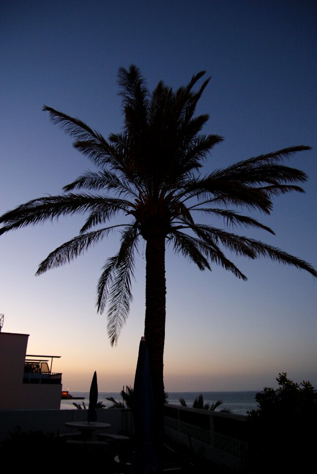 Exotic mediterranean summer