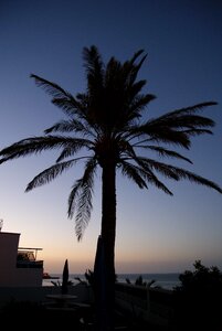 Exotic mediterranean summer