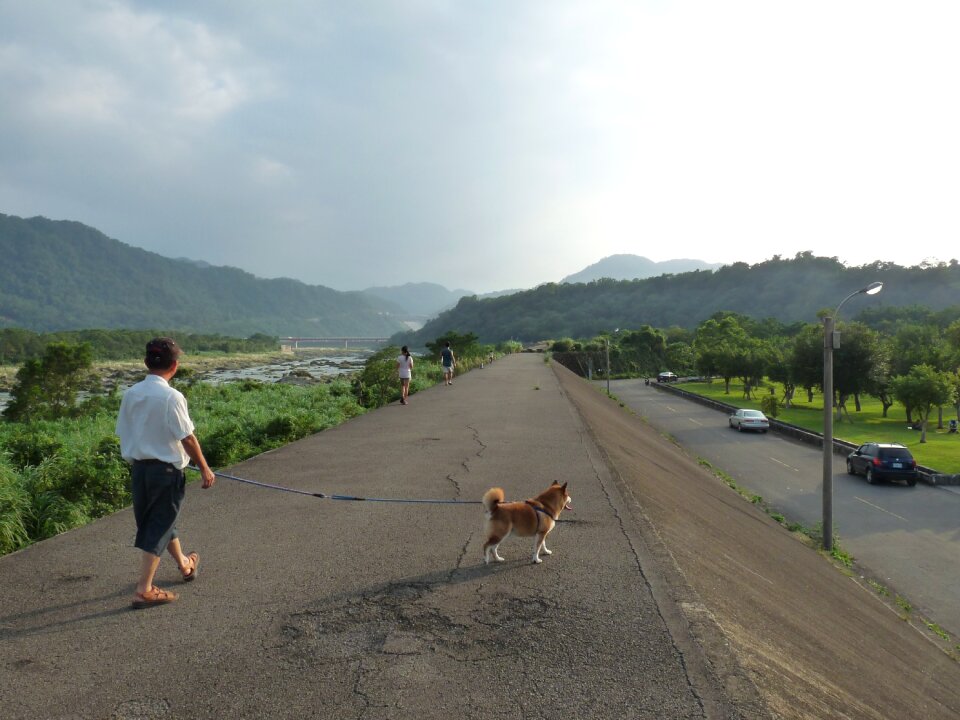 Walk landscape view