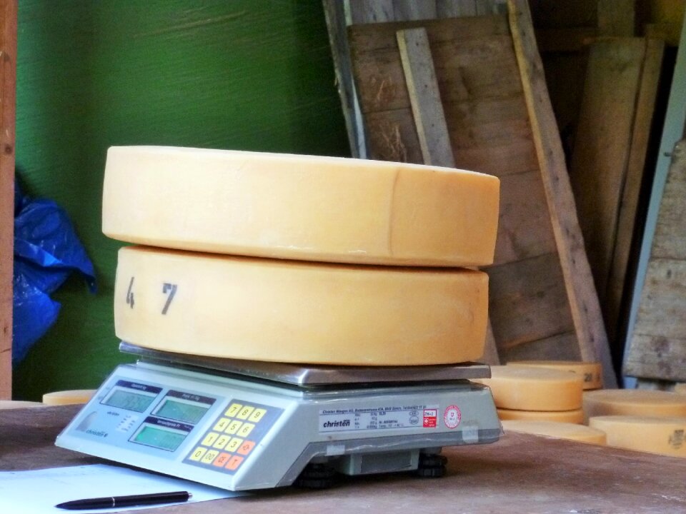 Cheese horizontal cheese loaf