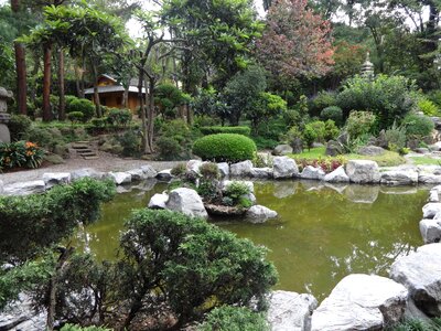Garden japanese pond photo