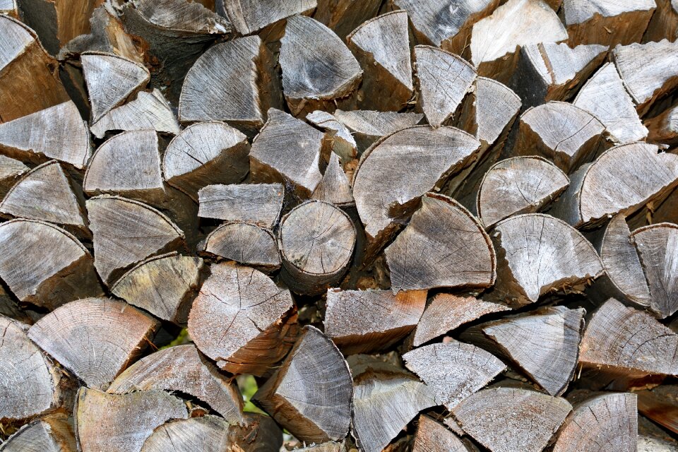 Pattern wood nature