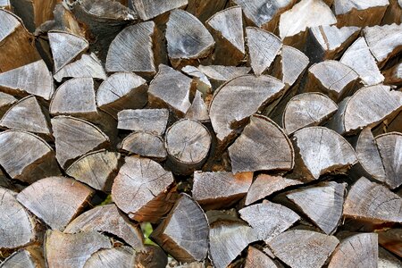 Pattern wood nature photo