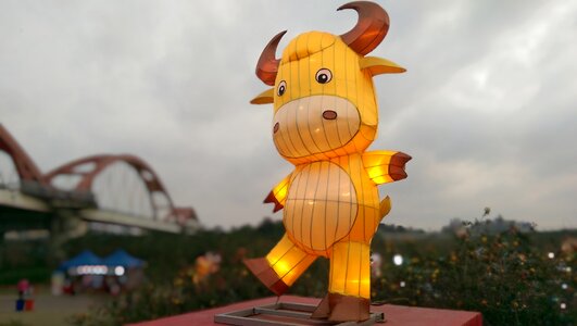 The lantern festival cow flower 燈 photo