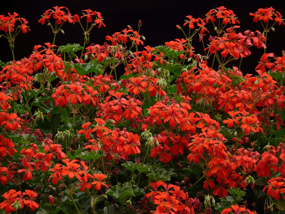 Bright colorful color