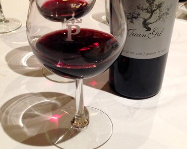 Red wine glass tasting