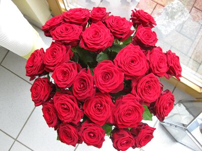 Roses vase bouquet