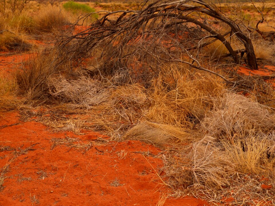Outback ayers rock landscape