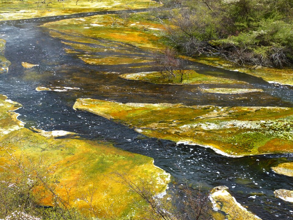 Volcanic hot source rotorua