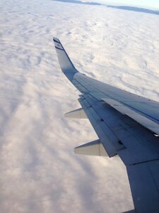 The wing