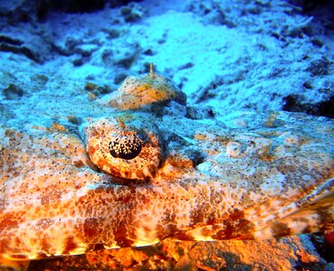 View underwater world water
