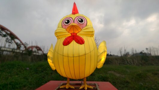 The lantern festival chicken flower 燈 photo
