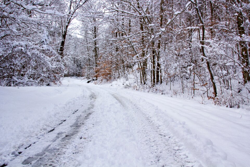 Snow snowscape photo