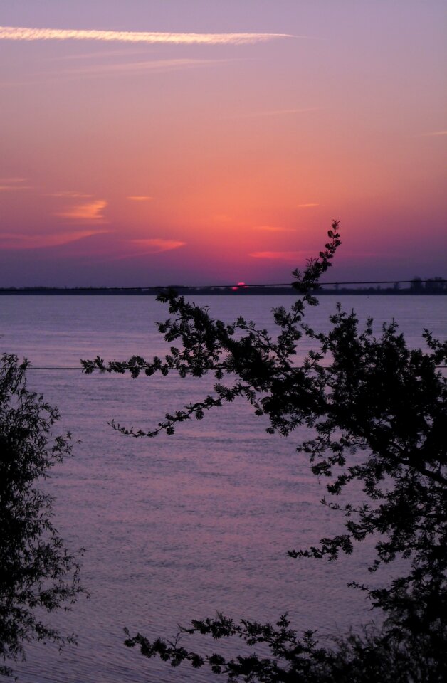 Nature sun summer