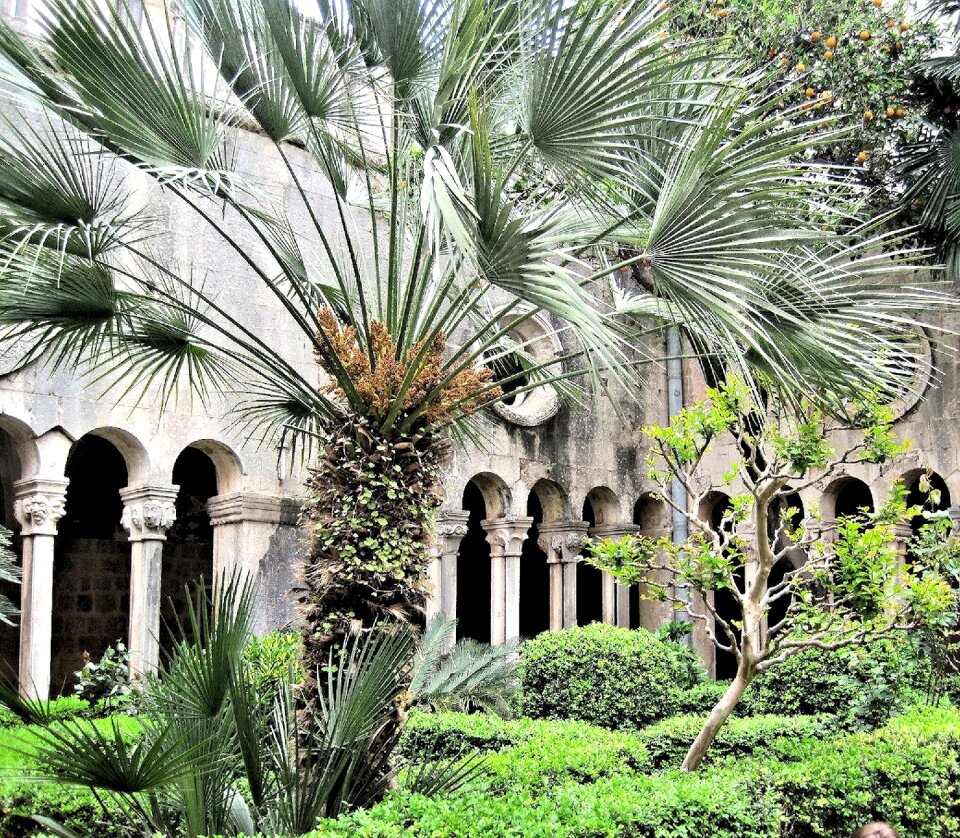 Outdoors palm trees