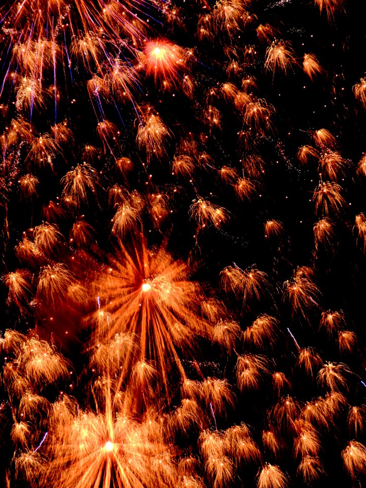 New year's eve rocket dresden