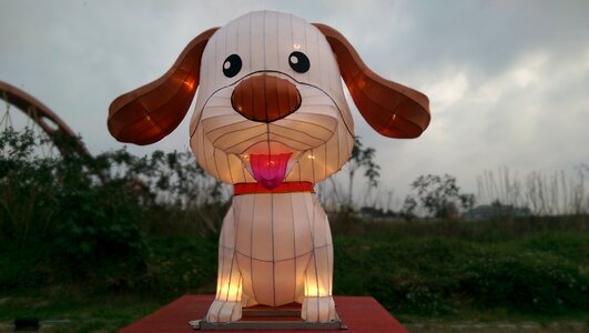 The lantern festival dog flower 燈 photo